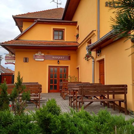 Penzion Bouquet Горни-Вестонице Экстерьер фото