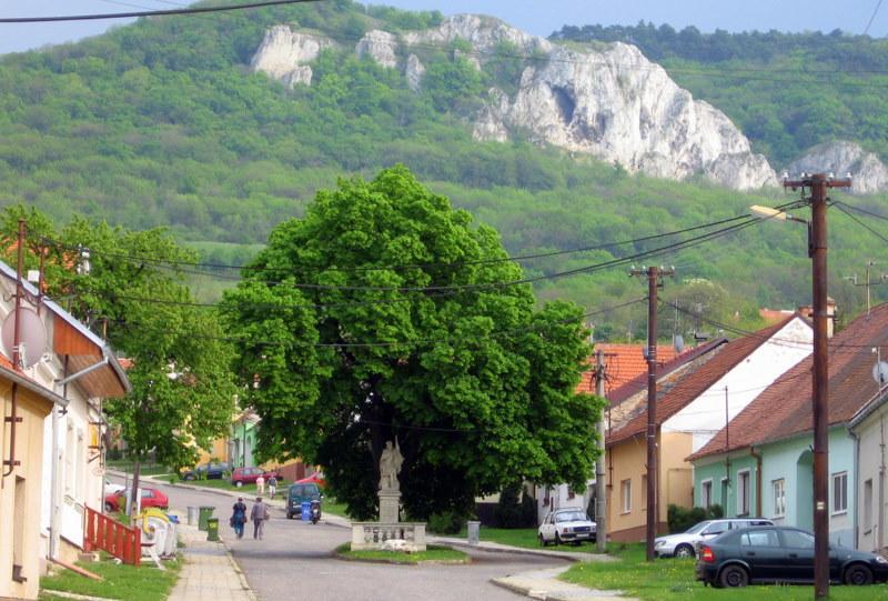 Penzion Bouquet Горни-Вестонице Экстерьер фото